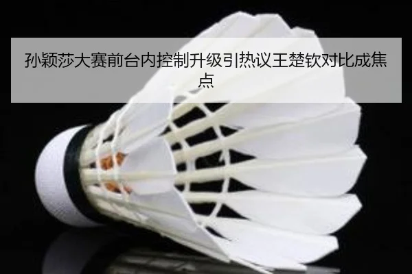 孙颖莎大赛前台内控制升级引热议王楚钦对比成焦点